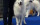 (ch) Lancelot du flocon d'argent